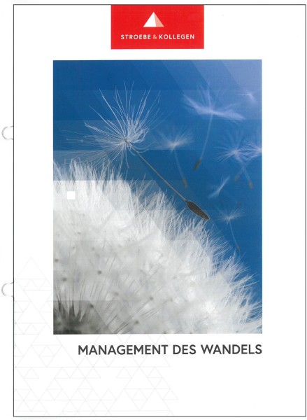 Broschüre »Management des Wandels«